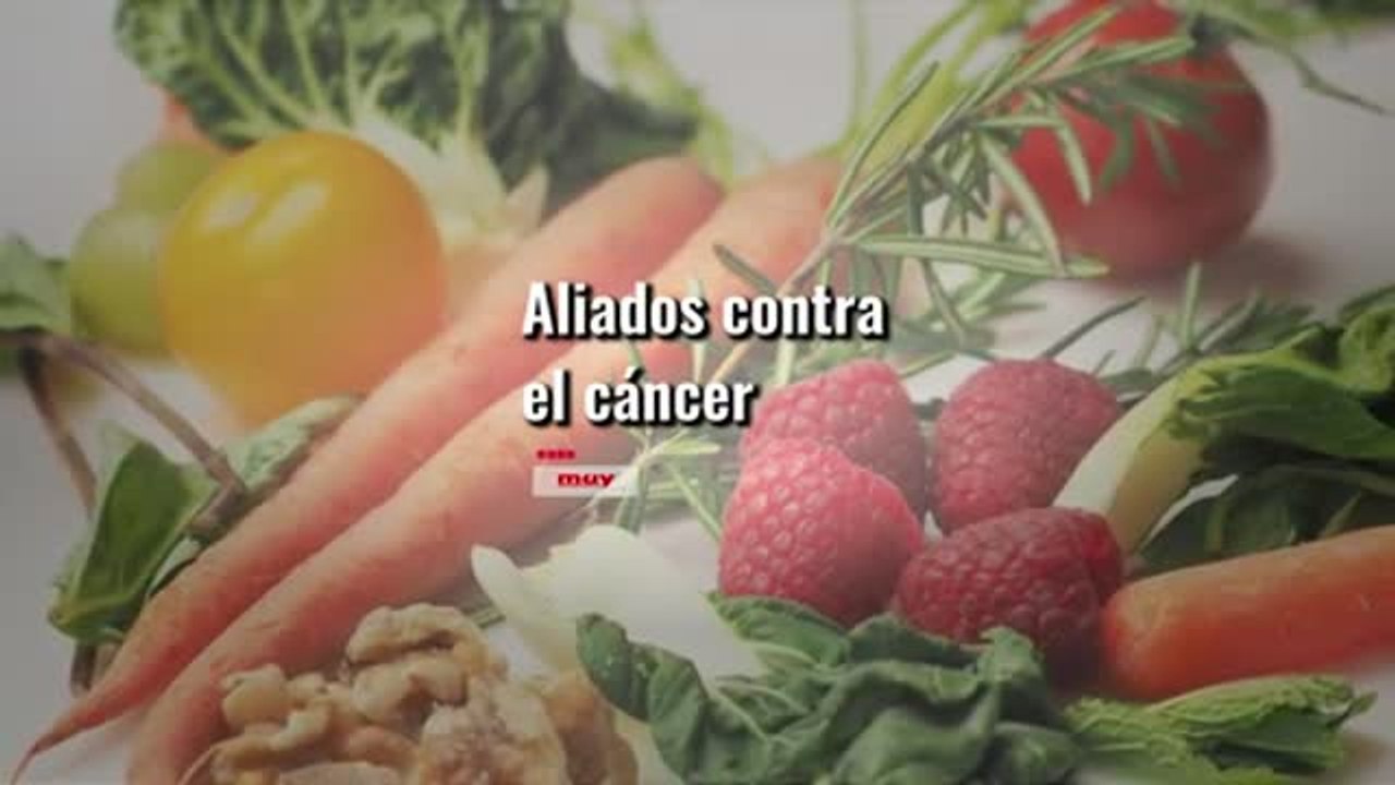 Aliados contra el cáncer