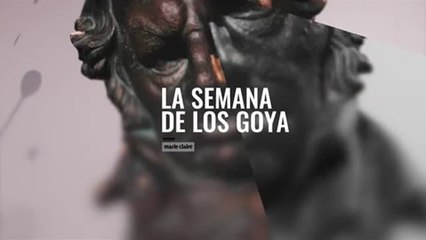 Premios Goya Todo a punto para el gran dia