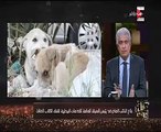حامد عبد الدايم:قتل الكلاب لا يتم إلا بناء على بلاغات المواطنين