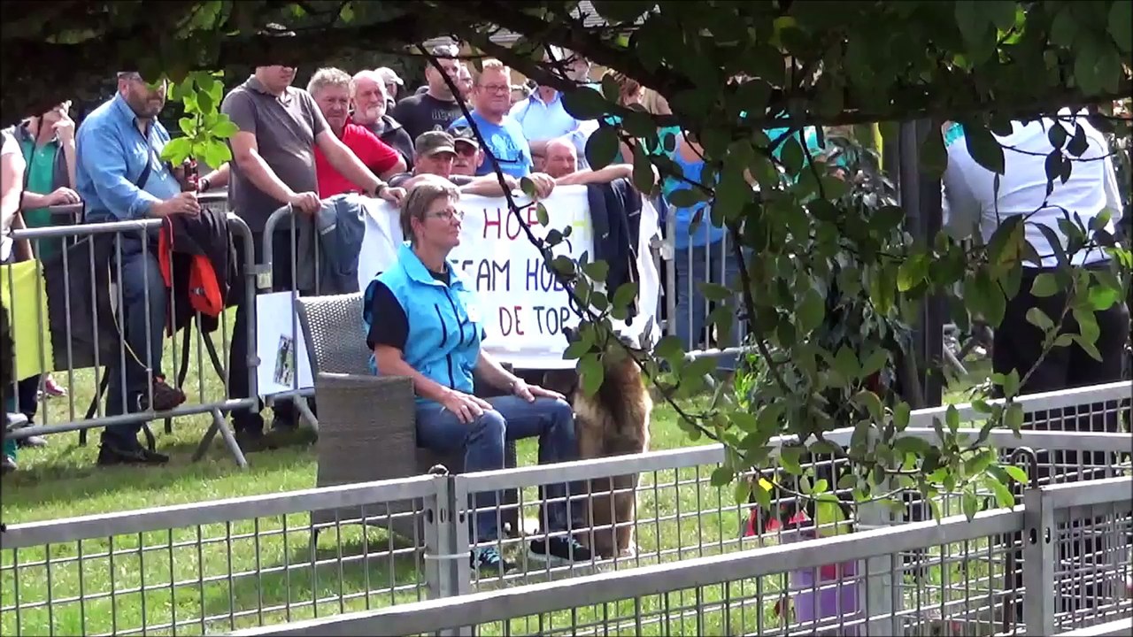 Elevage de Bergers Belges LACKALIKSOU,  NICKEL : Coupe de Belgique 2018