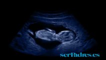 Vídeo. El bebé en el vientre materno. Semanas 9-12
