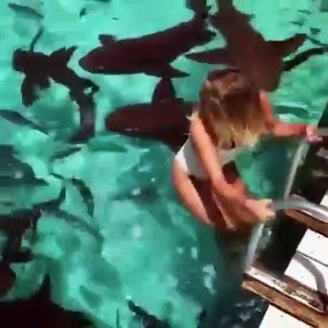 Elle vient nager avec les requins : expérience incroyable