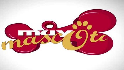 ¿Quién es el perrito de las praderas? Cuidados básicos