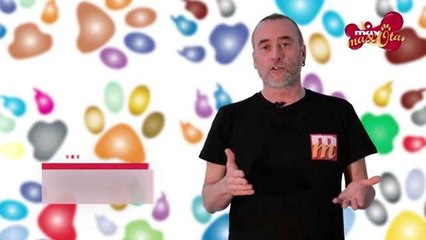 Consejos para socializar al cachorro de perro