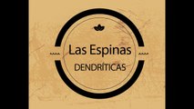 Neuropíldoras capítulo 14: las espinas dendríticas