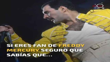 Tải video: Curiosidades sobre Freddie Mercury