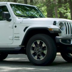 Jeep | Fourth of July