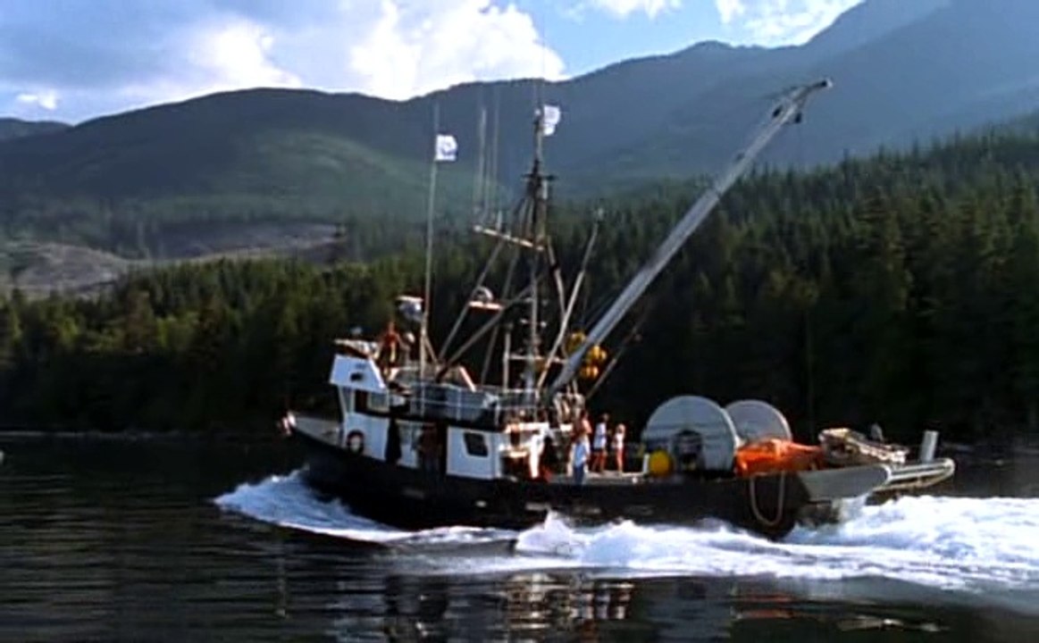 ABC Wolves  of  the Sea