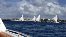 It's August Thursday and they are racing off Meads Bay today. Sailing is Anguilla's national sports and the competition is exciting! Come watch with us.