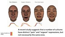 These Are Facial Expressions For ‘Pain’ And ‘Orgasm’ In Different Cultures