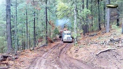 Best Logging Truck Drivers Skill With Dangerous Extreme Fields  (Part 26)(1)