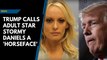 Trump calls adult star Stormy Daniels a 'Horseface', denounce her defamation lawsuit