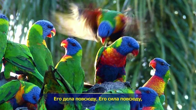 Восточная Молния | История Бога «Сотворение Богом мира»