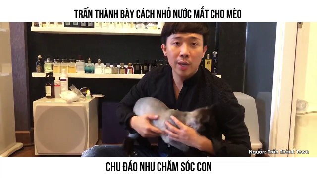 TRẤN THÀNH BÀY CÁCH NHỎ NƯỚC MẮT CHO MÈO CHU ĐÁO NHƯ CHĂM SÓC CON