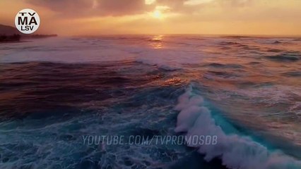 Animal Kingdom Season 4 Teaser Promo (2018)