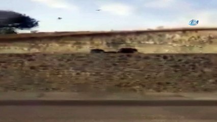 Varto’da domuz sürüsü görüntülendi