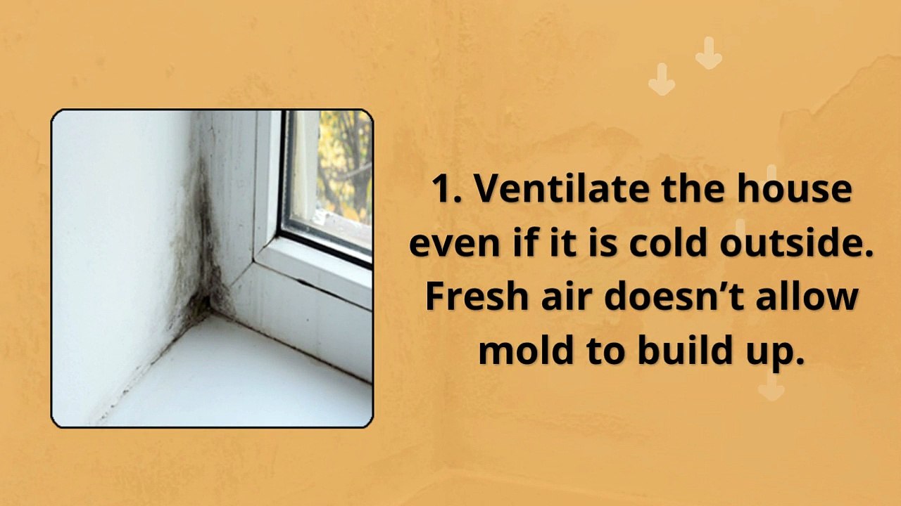How Do You Get Rid of Damp Walls