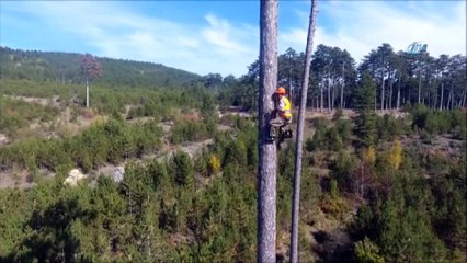 Ekmek çamın ucunda