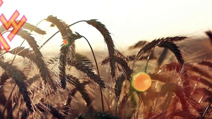 라이브바카라〔▷▷▶「( 564ＧＯ。CoM )」◀◁◁〕라이브바카라