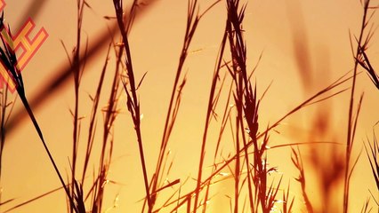 실시간바카라〔▷▷▶「( 564ＧＯ。CoM )」◀◁◁〕실시간바카라