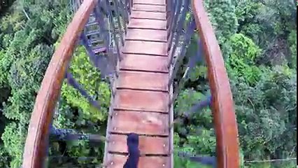 Incredible Amazon Lodge - Sacha Lodge  Top Ecuadorian Rainforest Accomodation