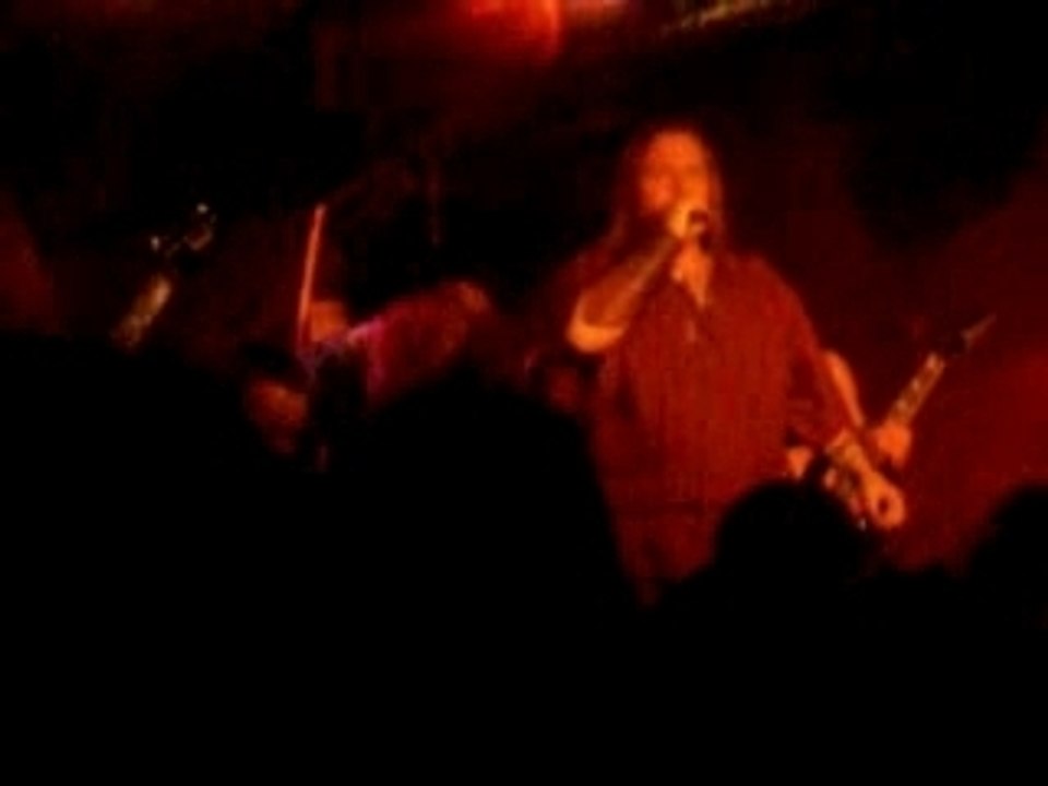 Heidevolk - Wodan Heerst