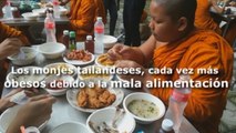 Los monjes tailandeses, cada vez más obesos debido a la mala alimentación
