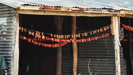 'Komünist tarım' Ovacık'ı Türkiye'nin en yoğun PTT kargo şubesi yaptı; her gün yüzlerce koli umut postalanıyor