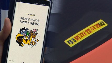 '카카오 카풀'  택시업계 반발...발묶인 시민 / YTN