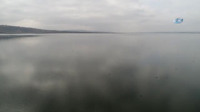 Enerji Üretimi İçin Kurulan Baraj Türkiye'nin Yeni Kuş Cenneti Oldu