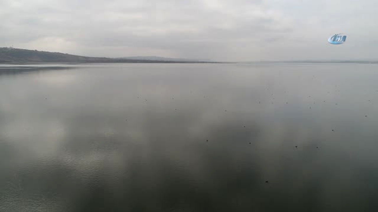 Enerji Üretimi İçin Kurulan Baraj Türkiye'nin Yeni Kuş Cenneti Oldu