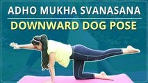 How to do DOWNWARD DOG POSE | LEARN Adho Mukha Svanasana | Simple Yoga Lessons