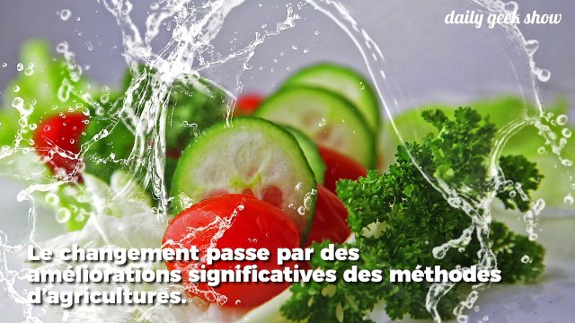 Le régime flexitarien pourrait diminuer les émissions de gaz à effet de serre de moitié