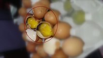 농협에서 썩은 달걀 유통...대응도 허술 / YTN