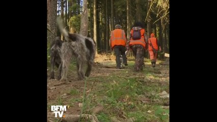 Les chasseurs sont-ils dangereux ?