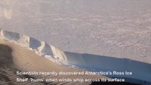 Un zumbido anticipa cambios en la plataforma de hielo antártica