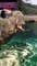 Un homme déjoue la sécurité et saute dans le bassin des requins dans un zoo