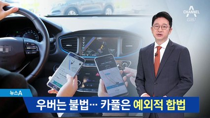 정부 “카풀은 예외적 합법”…허용 시간 놓고 대립