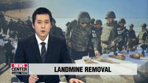 Presidential Chief of Staff Im Jong-seok inspects DMZ landmine removal