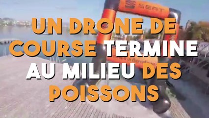 Suite à une connexion interrompue, ce drone va allez dire bonjour aux poissons !