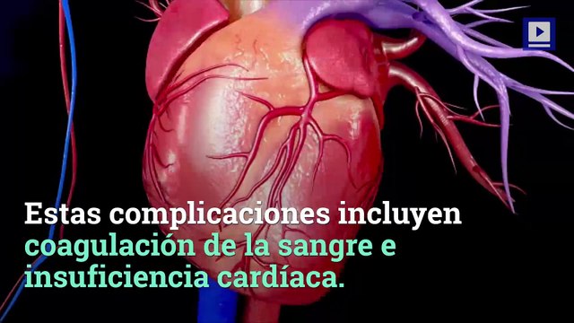 Las mujeres negras e hispanas tienen mayor riesgo de morir en el parto