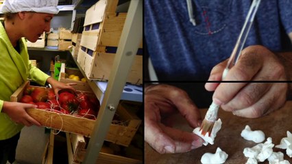 La Minute Eco : découvrez Obratori, "l'explorateur d'idées" de L'Occitane