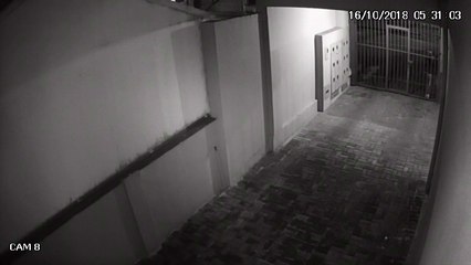 Câmera mostra furto de bicicletas