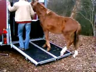 Embarquement de mon cheval dans le van suite 3