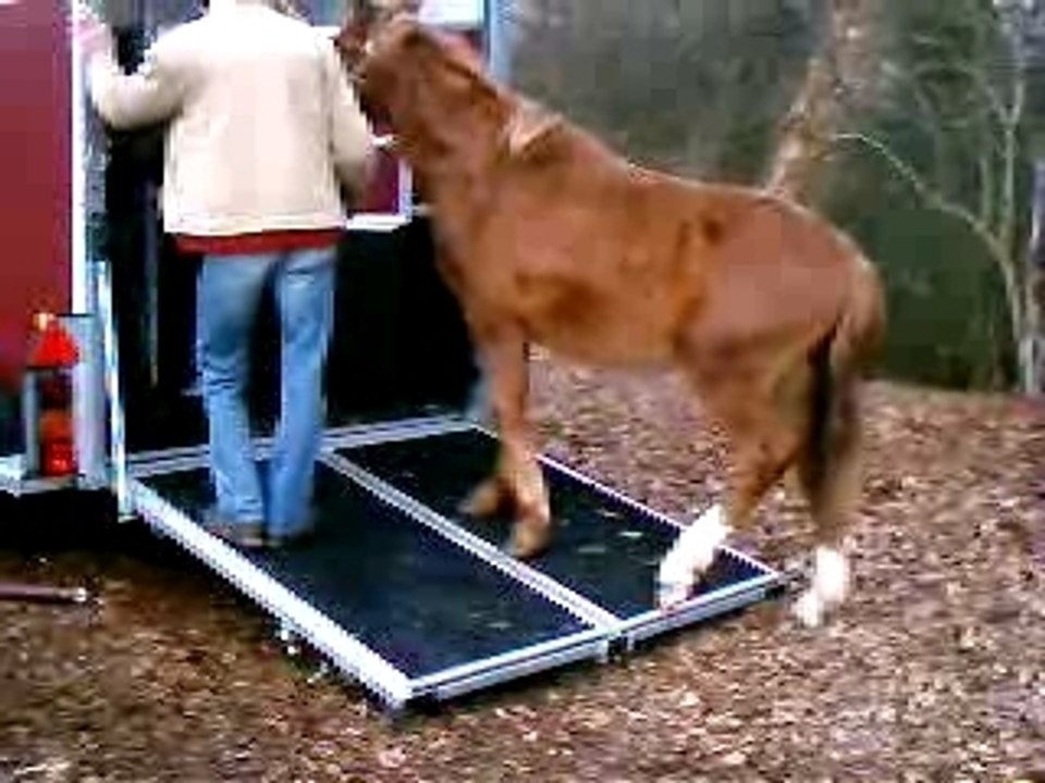 Embarquement de mon cheval dans le van suite 3