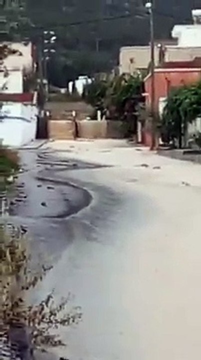 زغوان:سيول جارفة تنزل من الجبل بسبب الأمطار