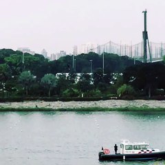 Rocket man in Singapore | Anthony S Casey Singapore
