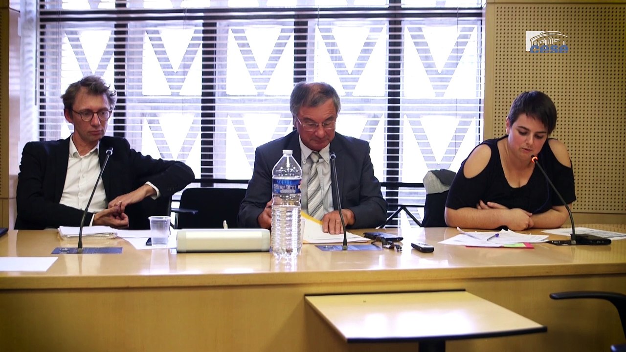 Questions à Aline COUTAREL (MRJC) - éducation populaire - cese