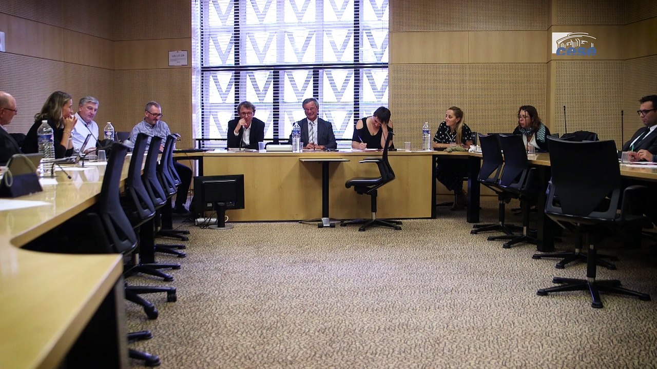 Questions à Christophe Paris (AFEV) - éducation populaire - cese