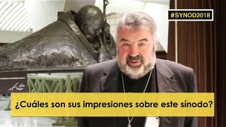 Mons. Escribando (Spain) #synod2018 #PopeFrancis #Youth #Catholic